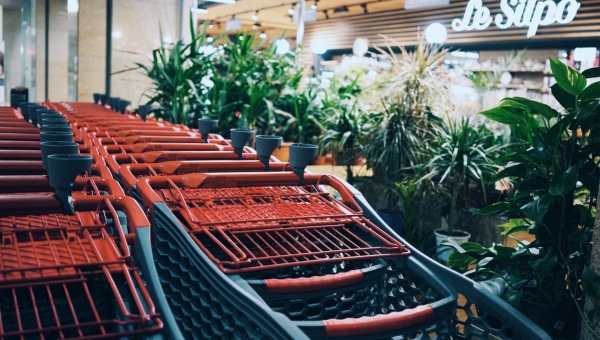Direct 2 Consumer: Why should we do it?