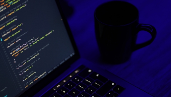 Popular CMS for web developers
