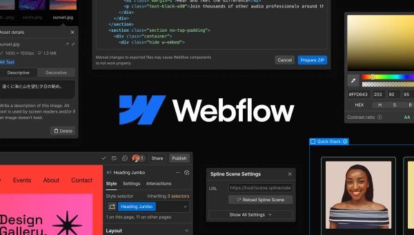 How to Make a Stunning Website with Webflow in 2025