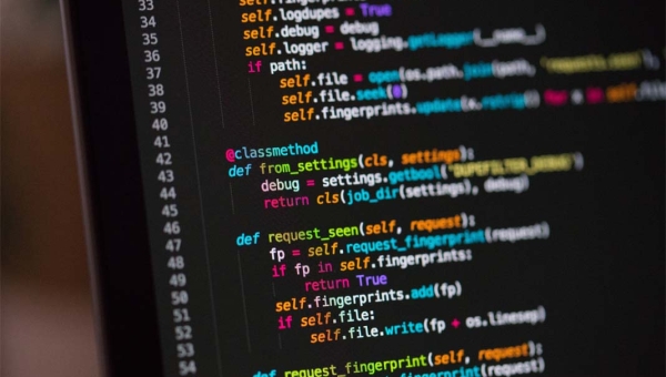 Custom WordPress Plugin Development for Your Website