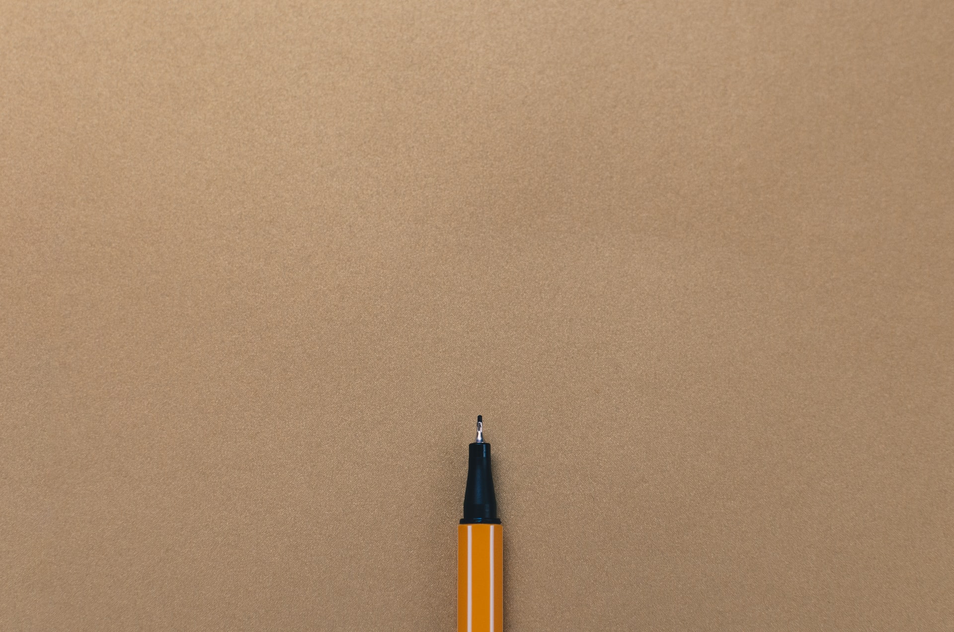  What is Alt Text?