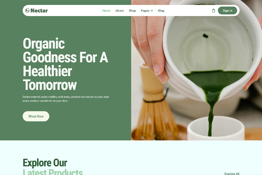 Organic skincare ecommerce website design website design by BridgeWeb