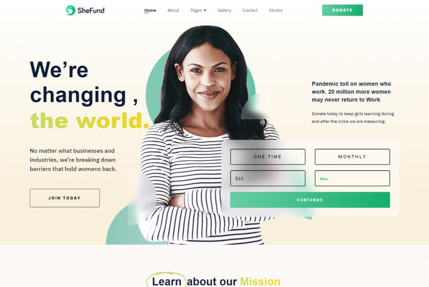 Charity and non-profit website design website design by BridgeWeb