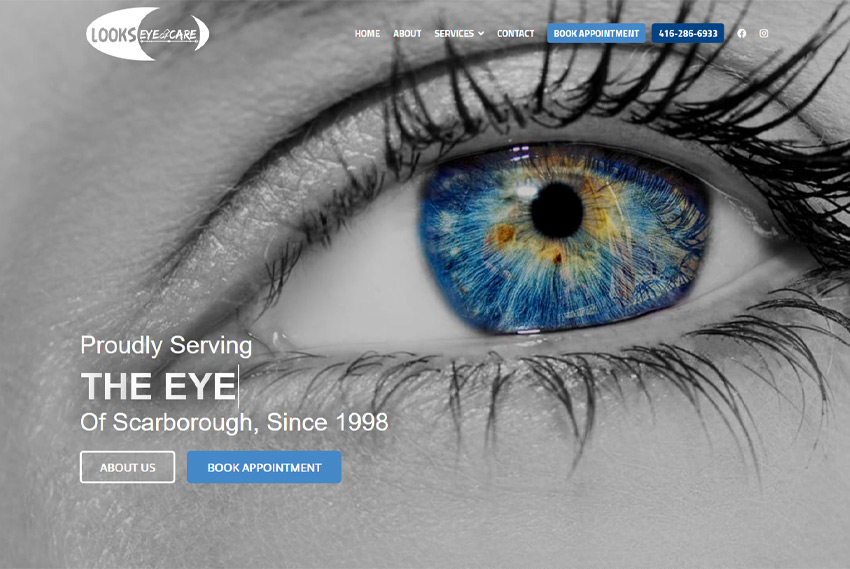 Optometry website design website design by BridgeWeb