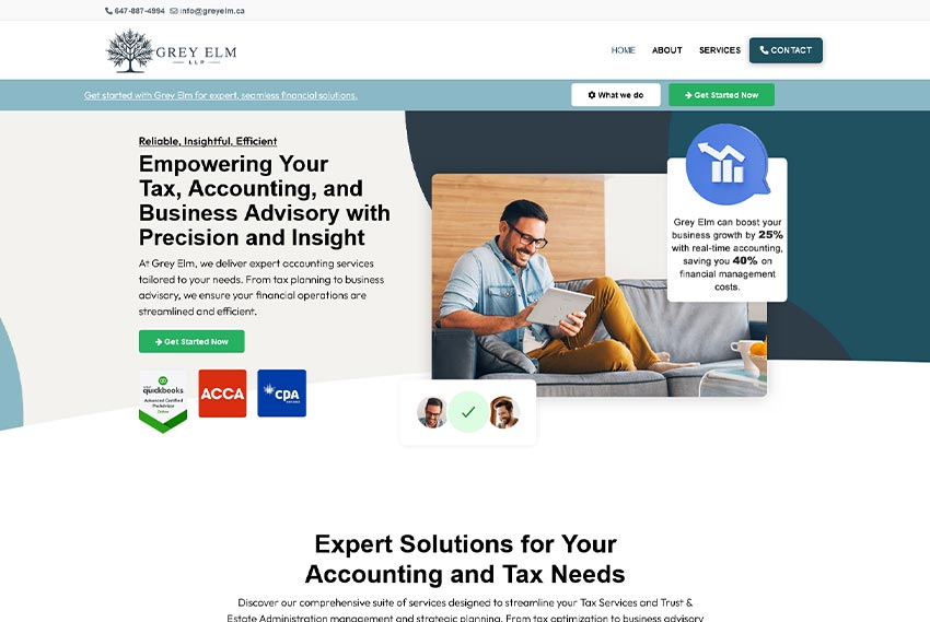 Accounting firm website design Toronto website design by BridgeWeb