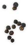 Pepper