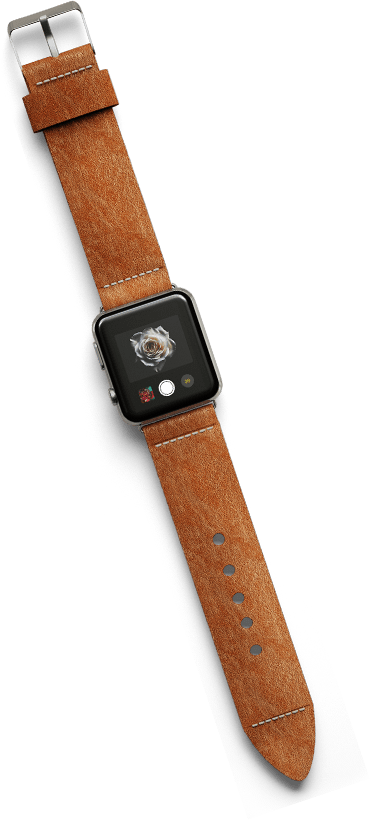 Mobile app interface running on an Apple Watch