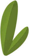 Potted plant