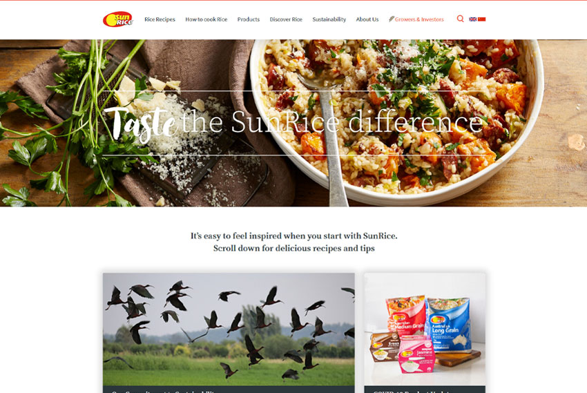 Food brand and recipe website design website design by BridgeWeb