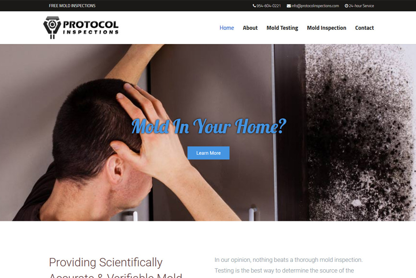 Mold inspection website design website design by BridgeWeb